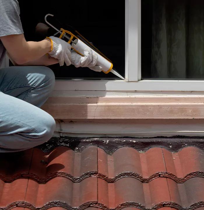 Roof Window Services in Winter Park, Florida